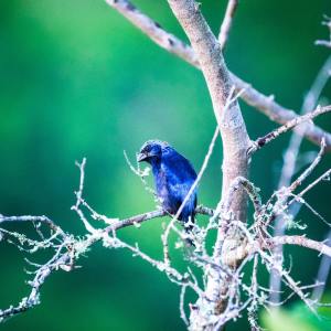 Listen to Sleep Music song with lyrics from Sleep Sound Library