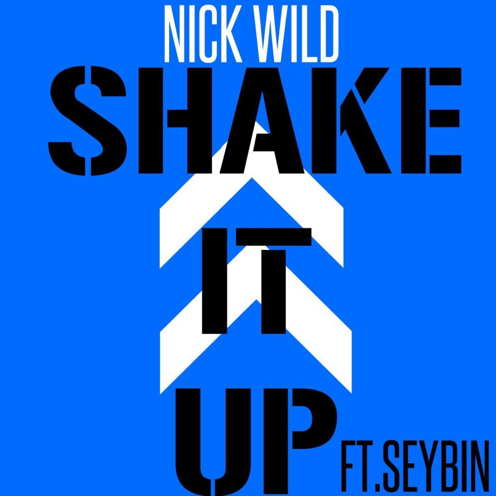 Shake It Up(feat. Seybin)