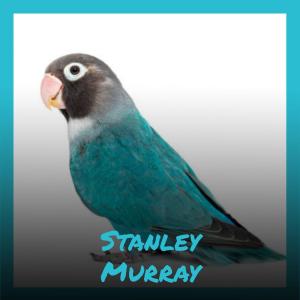 Various的专辑Stanley Murray