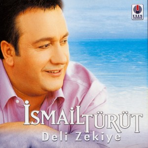 Listen to Hem Müslüman Hem Türküm / Karıncayı Üzeriz (Şiir) song with lyrics from Ismail Türüt