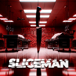 ดาวน์โหลดและฟังเพลง Sliceman พร้อมเนื้อเพลงจาก Trippy Dubz