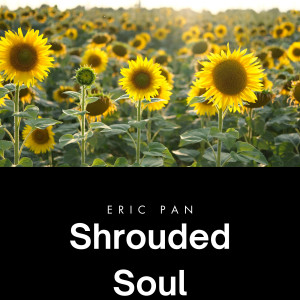Listen to Shrouded Soul song with lyrics from Eric Pan
