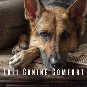Album Lofi Canine Comfort: Relaxing Melodies for Dogs oleh Music For Dogs