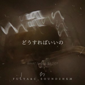 Listen to どうすればいいの (feat. C_Sound Zhkm!!) (Explicit) song with lyrics from Fulya