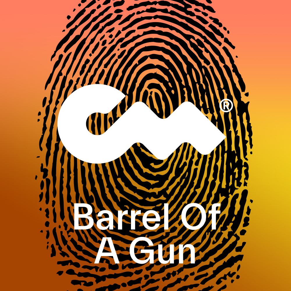 Barrel Of A Gun