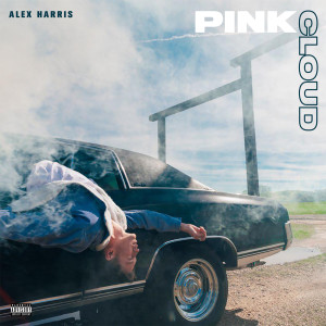 ดาวน์โหลดและฟังเพลง Pink พร้อมเนื้อเพลงจาก Alex Harris