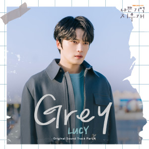 Album Grey (나쁜 기억 지우개 X LUCY) oleh LUCY