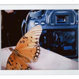 Butterfly Effect (Acoustic) dari Maddi Jane