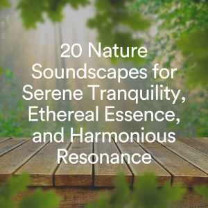 Album 20 Nature Soundscapes for Serene Tranquility, Ethereal Essence, and Harmonious Resonance from Binaural Landscapes