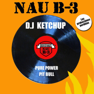 ดาวน์โหลดและฟังเพลง Pure Power พร้อมเนื้อเพลงจาก DJ Ketchup