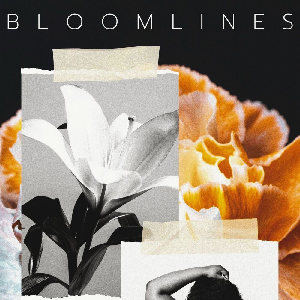 Sketched in Bloom