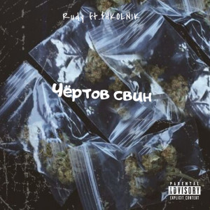 Album Чёртов свин (feat. $HKOLNIK) from Rudy