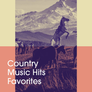 Listen to Come on Come On song with lyrics from Amarillo Sweethearts