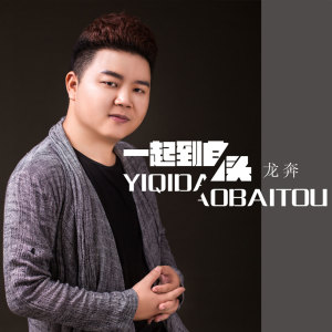 收聽龍奔的一起到白頭 (DJ版)歌詞歌曲