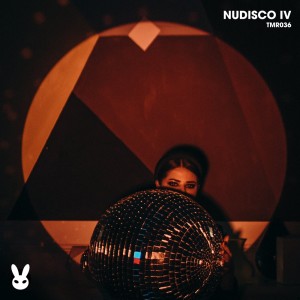 Various Artists的專輯Nudisco IV