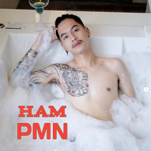 ดาวน์โหลดและฟังเพลง อ้ายนี้ยังกอยอยู่ พร้อมเนื้อเพลงจาก Ham PMN