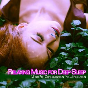 Album Relaxing Music for Deep Sleep: Music For Concentration, Yoga, Meditation from Spa Music Relaxation