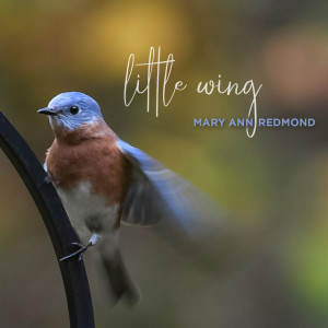 Mary Ann Redmond的專輯Little Wing