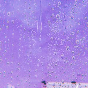 Listen to Flowers - Slowed Remix song with lyrics from slumberlord