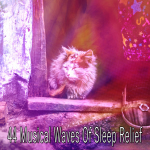 Listen to Tired Mind song with lyrics from Baby Lullaby