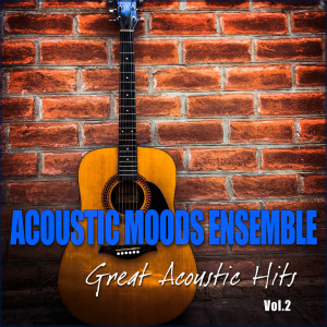 Listen to Hotel California song with lyrics from Acoustic Moods Ensemble