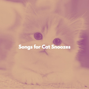 อัลบัม Songs for Cat Snoozes ศิลปิน Feel Good Dinner Music