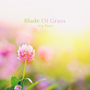 Blade Of Grass dari Kid Poet
