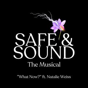 อัลบัม What Now? (feat. Natalie Weiss) ศิลปิน Natalie Weiss