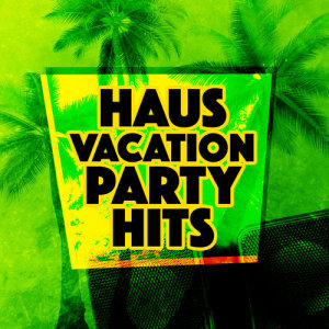 ดาวน์โหลดและฟังเพลง Wasting My Time พร้อมเนื้อเพลงจาก Haus Vacation