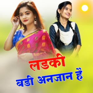 Album Ladki Badi Anjani Hai from Raj Meena