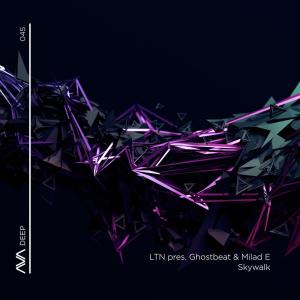 Listen to Skywalk (Extended Mix) song with lyrics from LTN