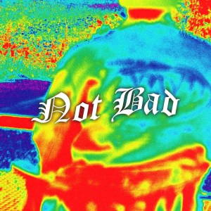 Album Not Bad from 