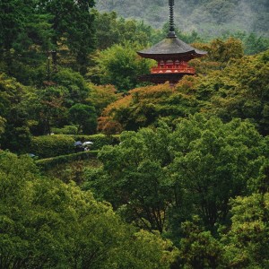 Listen to next year song with lyrics from Kyoshi