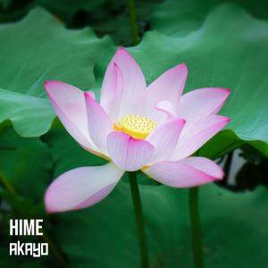 Listen to Hime song with lyrics from Akayo