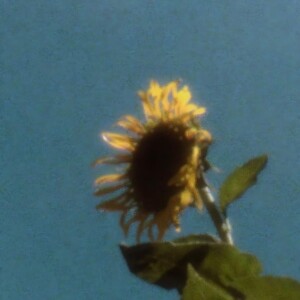 default album img