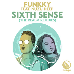 Album Sixth Sense (The Realm Remixes) from Funkky