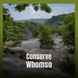 Listen to Swimming Pennant song with lyrics from Jees Hasy