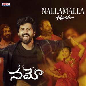 Listen to Nallamalla Adavilo (From "Namo") song with lyrics from Aditya Tadepalli
