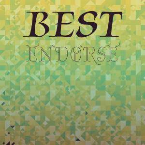 Various的专辑Best Endorse