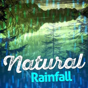 收聽Nature and Rain的Wet歌詞歌曲