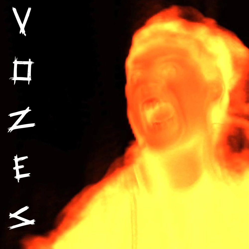 Vozes