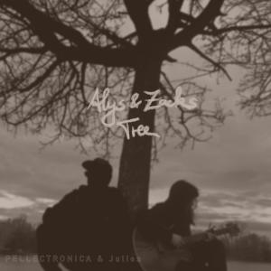 อัลบัม Aly´s and Zack´s Tree (feat. pellectronica) ศิลปิน Julies