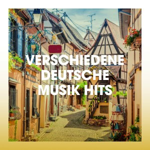 Listen to Allein allein song with lyrics from Horizont