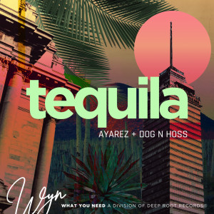 Listen to Tequila song with lyrics from AYAREZ