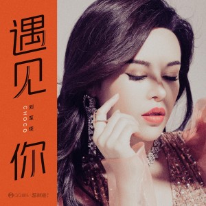 Listen to 遇见你 (伴奏) song with lyrics from 刘至佳