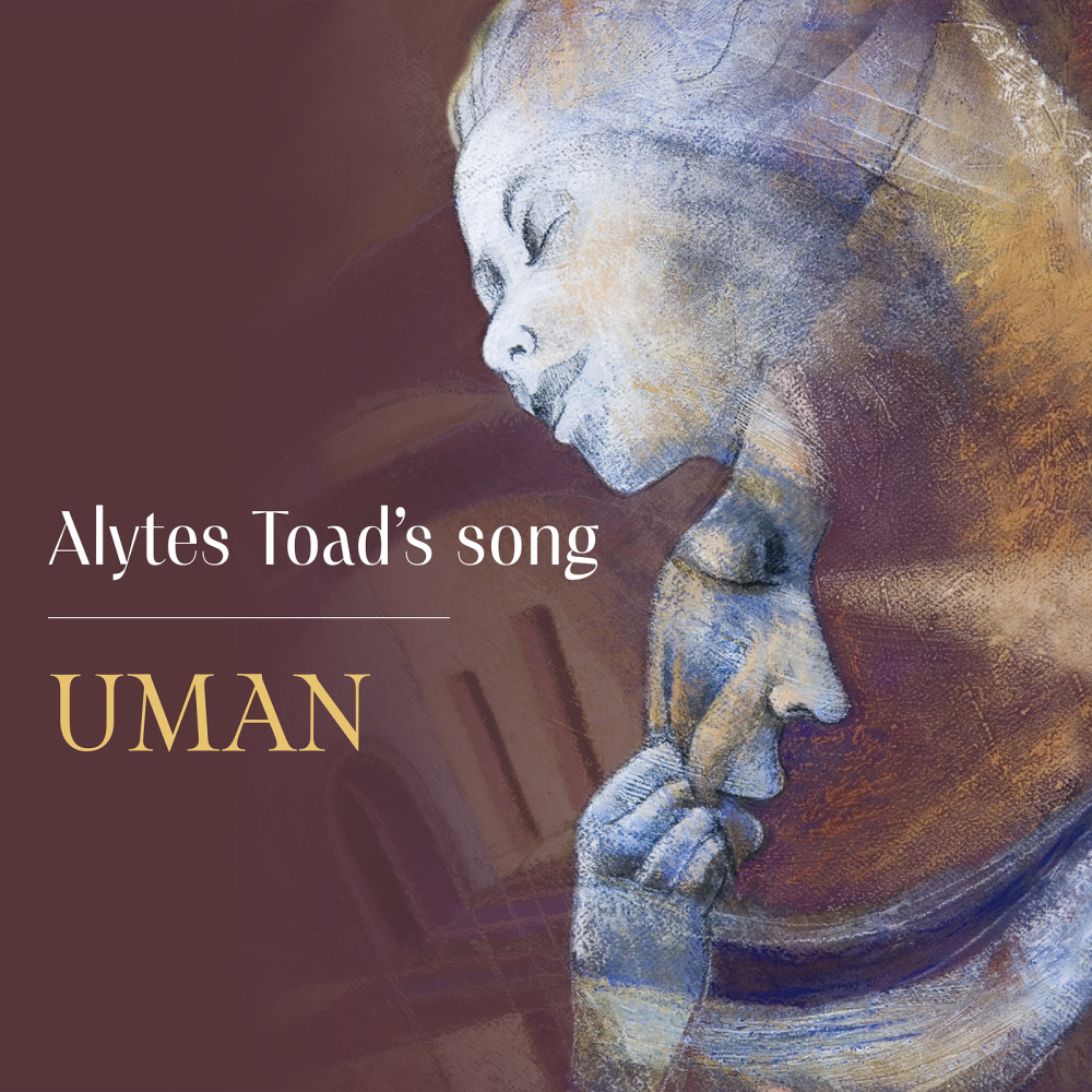 Alytes Toad's Song
