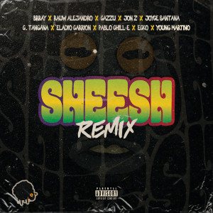ดาวน์โหลดและฟังเพลง Sheesh (Remix|Explicit) พร้อมเนื้อเพลงจาก Brray