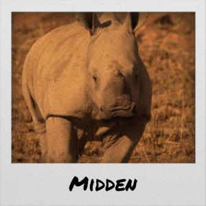 Album Midden from Various