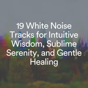 19 White Noise Tracks for Intuitive Wisdom, Sublime Serenity, and Gentle Healing dari Hi Freq Samples
