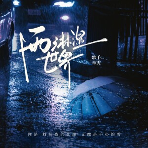 Album 雨淋湿世界 from 辛雯